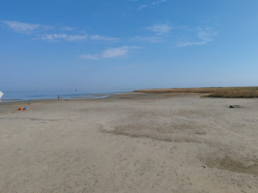 Torna l'appuntamento firmato Doggy Zen: una passeggiata cinofila in spiaggia per migliorare la comunicazione uomo-cane e godersi gli ultimi tuffi in mare!
Domenica 21 settembre alla Spiaggia della Boschettona – 8,5 km di camminata tra natura, libertà e apprendimento.
Evento a numero chiuso: prenota subito!