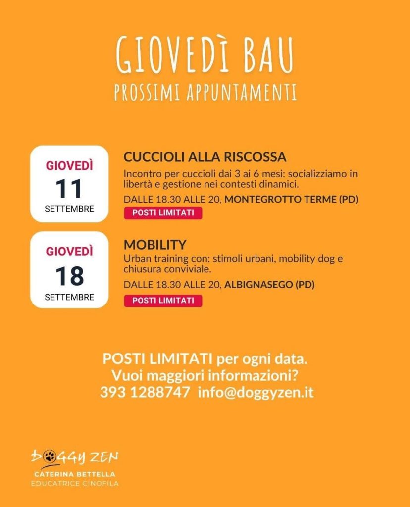 Giovedì Bau: un ciclo di incontri settimanali per vivere momenti di relazione, gioco e scoperta insieme al tuo cane. Ogni giovedì un’avventura diversa tra natura, città e attività educative… con un tocco di convivialità!
