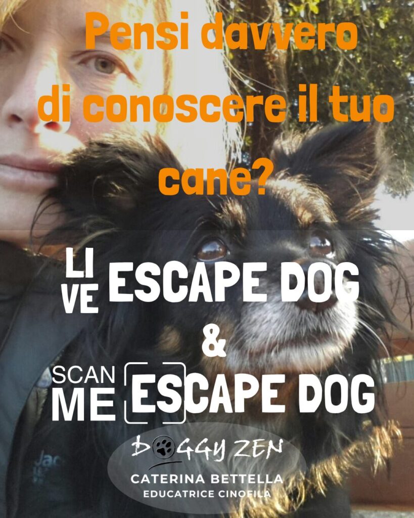 Copertina del progetto ESCAPE DOG e SCAN ME ESCAPE DOG di Doggy Zen per conoscere meglio il proprio cane.
