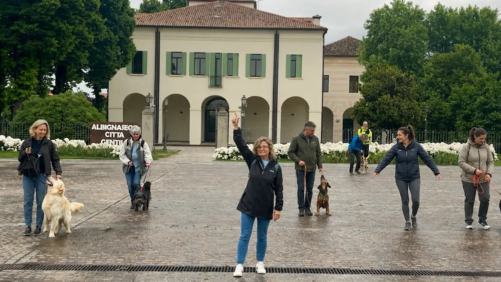 Caterina Bettella Doggy Zen - Educatrice cinofila a Padova per cani e famiglie
