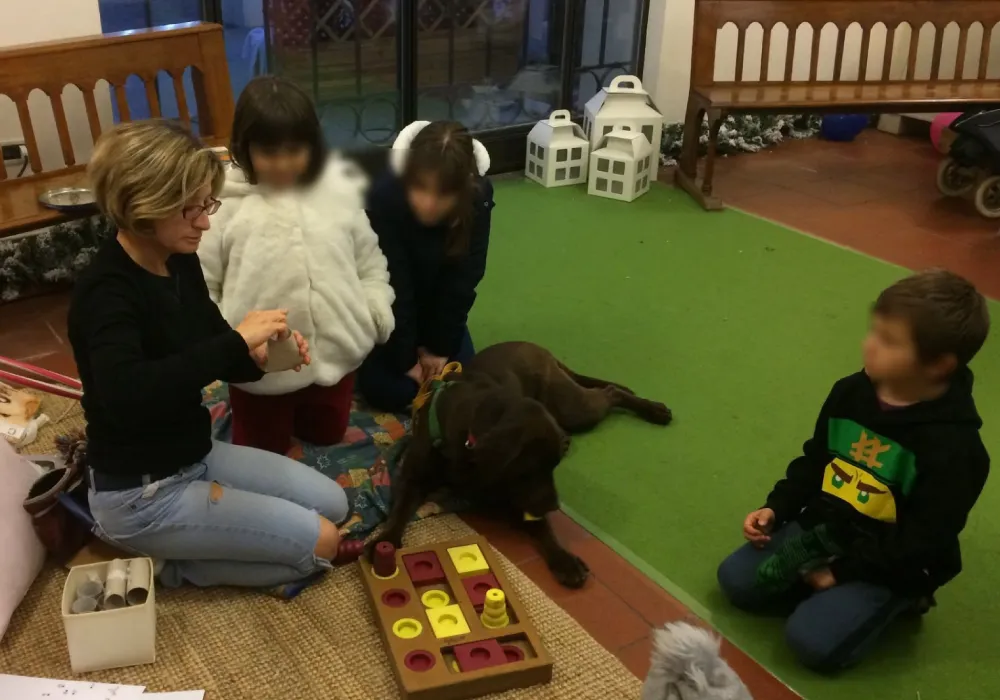 Caterina Bettella Doggy Zen - Educazione cinofila Padova a domicilio e nei contesti reali