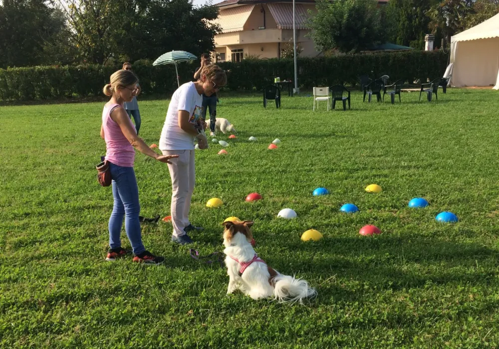 Caterina Bettella Doggy Zen - Educatore cinofilo Padova percorsi individuali, gruppo e lavoro in squadra