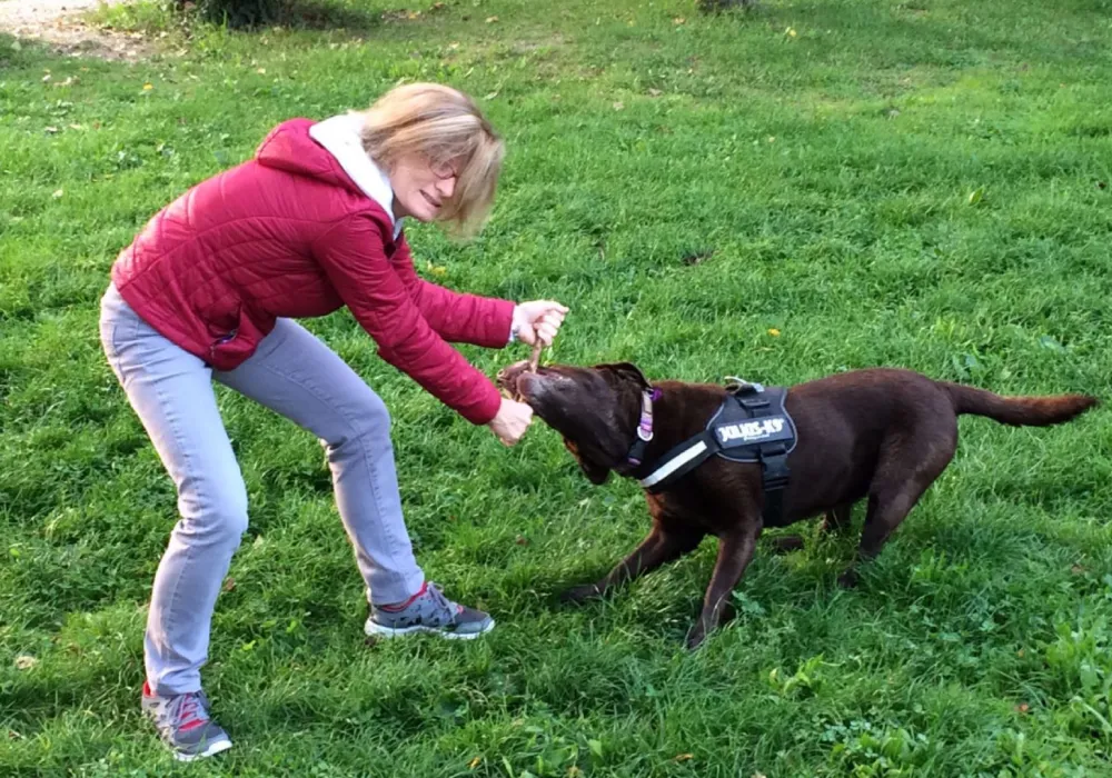 Caterina Bettella Doggy Zen - Educatrice cinofila a Padova per cani e famiglie