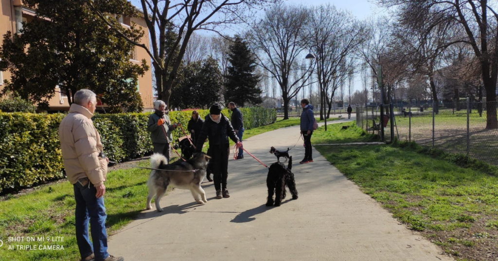 Persone con cani al guinzaglio in un parco mantenendo distanze diverse