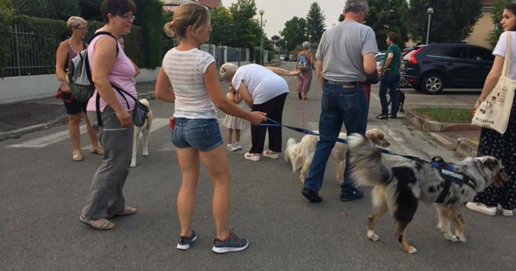 Persone e cani al guinzaglio durante un’attività di educazione cinofila in ambiente urbano