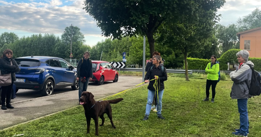 Cane tende il guinzaglio durante una passeggiata verso uno stimolo